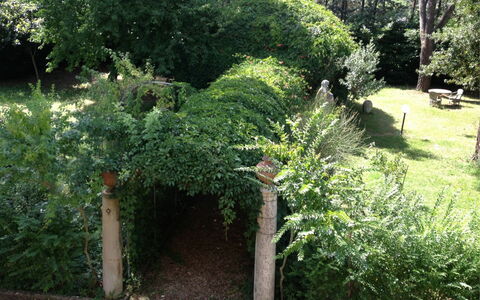 Villa Quattro Mori: Pflanze, Grundstueck, Baum, Gras, Immergrün, Gehölz, Ground, Hecke, Strauch, Natürliche Landschaft