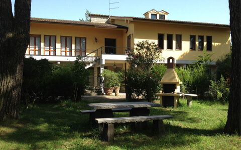 Villa Quattro Mori: Pflanze, Gebäude, Himmel, Eigentum, Fenster, Baum, Schatten, Grundstueck, Wohngebiet, Gras