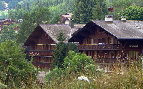 Bergkristall Apt. P: Haus, Zuhause, Eigentum, Dach, Bergdorf, Ländliches Gebiet, Hütte, Baum, Hütte, Gebäude