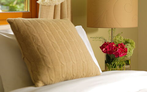 Pairc Na Saileac: Blume, Eigentum, Möbel, Komfort, Pflanze, Textil, Rechteck, Interior Design, Holz, Gelb
