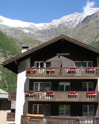 Bergdohle