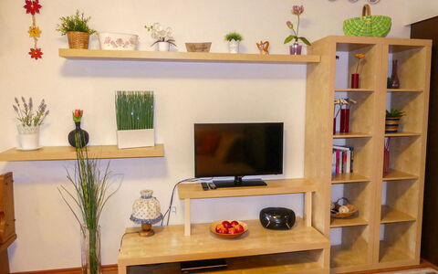 Walter: Eigentum, Möbel, Pflanze, Zimmerpflanze, Regal, Regale, Orange, Holz, Interior Design, Computertisch