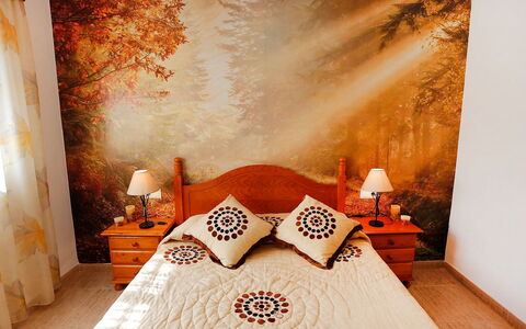 Vicky: Schlafzimmer, Zimmer, Orange, Eigentum, Interior Design, Wand, Bett, Möbel, Hintergrund, Bettdecke