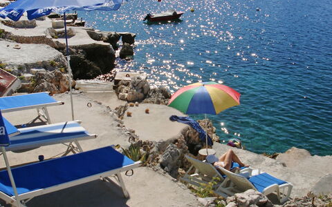 Carmen: Regenschirm, Urlaub, Strand, Tourismus, Meer, Küste, Wasser, Sommer, Baum