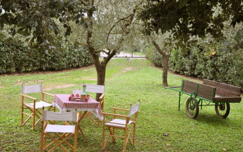 Casetta Ponticelli: Tabelle, Möbel, Tisch Im Freien, Gras, Baum, Garten, Rasen, Hinterhof, Garten, Gartenmöbel