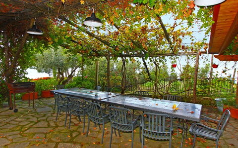 'O Pignatiello: Baum, Tabelle, Blatt, Zimmer, Möbel, Botanik, Haus, Pflanze, Terrasse, Herbst