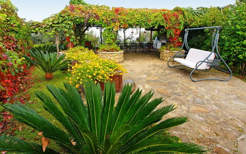 'O Pignatiello: Vegetation, Blume, Pflanze, Garten, Botanik, Agave, Xanthorrhoeaceae, Pflanzengemeinschaft, Landschaft, Gras
