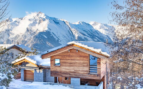 Nendaz 654: Himmel, Schnee, Berg, Eigentum, Gebäude, Natürliche Landschaft, Haus, Steigung, Fenster, Baum