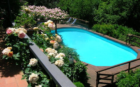 Roseto