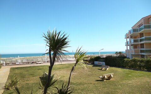 Le Barcarès 480: Himmel, Eigentum, Daytime, Baum, Strand, Palme, Urlaub, Meer, Ozean, Grundeigentum