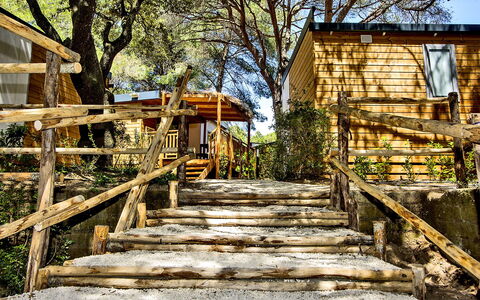 Castiglione della Pescaia 125: Treppe, Fenster, Baum, Ast, Holz, Pflanze, Gebäude, Natürliche Landschaft, Strassenbelag, Sonnenlicht
