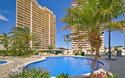 Unterkunft:&nbsp;Coral Beach 03 958.3