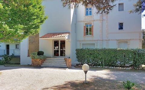 Le Platin: Strauch, Wohngebiet, Zuhause, Garten, Estate, Schatten, Landscaping, Garten, Auffahrt, Villa