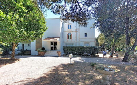 Le Platin: Baum, Ast, Zuhause, Estate, Garten, Garten, Landscaping, Auffahrt, Villa, Villa
