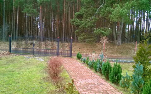Smołdziński Las: Baum, Natürliche Landschaft, Naturschutzgebiet, Natürlichen Umgebung, Gras, Walkway, Graspflanze, Wald, Biome, Botanik