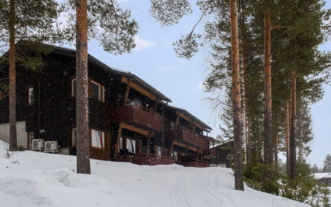 Kerttu: Hütte, Haus, Zuhause, Gartenbauten, Abstellgleis, Blockhaus, Bauernhaus, Estate, Schuppen, Garten