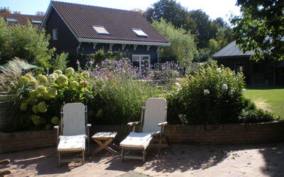 Zon