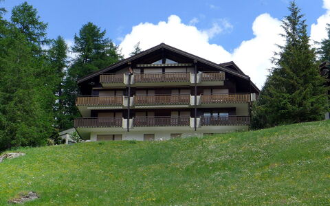 Sonnhalde B: Eigentum, Haus, Gebäude, Zuhause, Hütte, Blockhaus, Berg, Grundeigentum, Grundstueck, Baum
