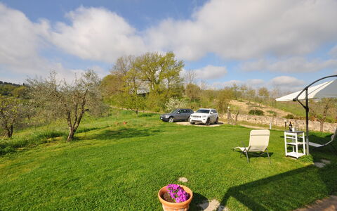 Capannino: Gras, Eigentum, Rasen, Grundstueck, Baum, Wiese, Frühling, Garten, Garten, Haus