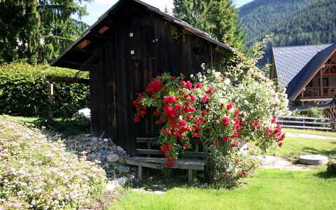 Schwalbennest: Pflanze, Blume, Himmel, Eigentum, Gebäude, Baum, Natürliche Landschaft, Haus, Grundstueck, Hütte
