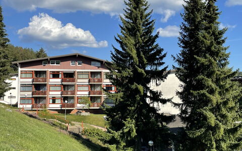 Schöne Aussicht (App 1406 Ex-Kurhotel): Wolke, Himmel, Pflanze, Gebäude, Fenster, Natürliche Landschaft, Lärche, Baum, Vegetation, Grundstueck