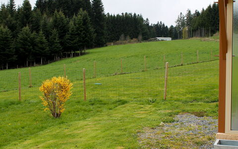 Le Clos des Sapins: Gras, Grundstueck, Wiese, Graspflanze, Baum, Weide, Pflanze, Rasen, Wiese, Garten
