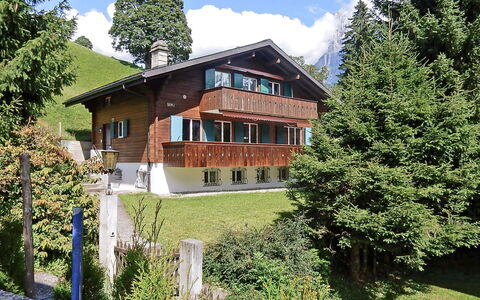 Grindelwald 322: Pflanze, Himmel, Gebäude, Fenster, Wolke, Baum, Natürliche Landschaft, Haus, Grundstueck, Lärche