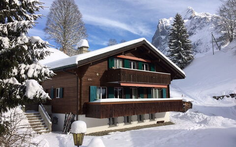 Grindelwald 322: Himmel, Wolke, Schnee, Gebäude, Pflanze, Fenster, Baum, Haus, Steigung, Lärche