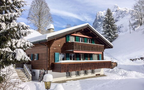 Grindelwald 322: Wolke, Himmel, Schnee, Gebäude, Pflanze, Fenster, Baum, Haus, Steigung, Lärche