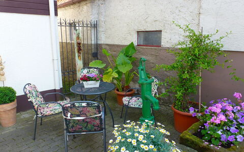 Roth: Blume, Floristik, Blumentopf, Hof, Pflanze, Garten, Haus, Gebäude, Balkon, Hinterhof