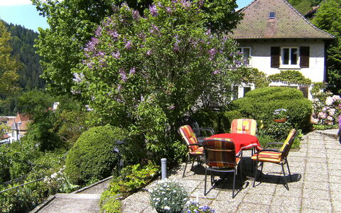 Triberg 100: Pflanze, Gebäude, Blume, Blumentopf, Fenster, Stuhl, Himmel, Baum, Haus, Strauch