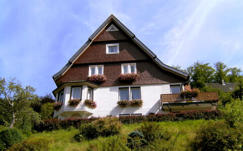 Triberg 100: Himmel, Wolke, Pflanze, Gebäude, Eigentum, Fenster, Baum, Haus, Holz, Grundstueck