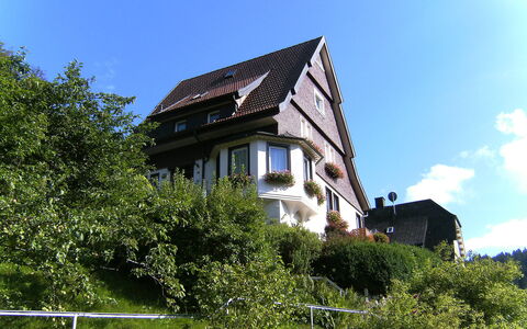 Triberg 100: Himmel, Gebäude, Eigentum, Pflanze, Wolke, Fenster, Haus, Vegetation, Gras, Natürliche Landschaft