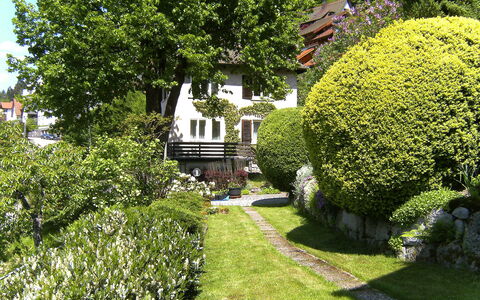 Triberg 100: Pflanze, Eigentum, Pflanzengemeinschaft, Gebäude, Blatt, Natur, Natürliche Landschaft, Baum, Fenster, Botanik
