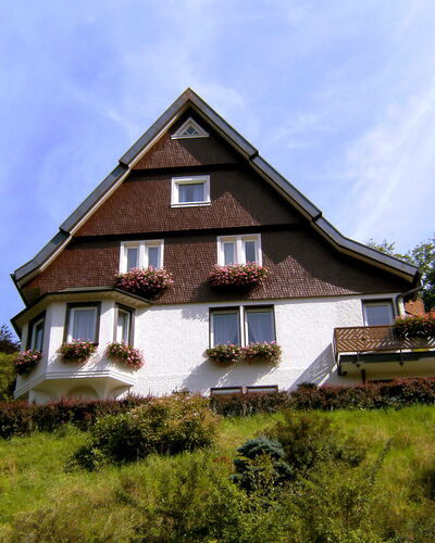 Triberg 100