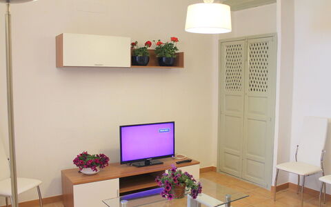 Bernia: Möbel, Eigentum, Gebäude, Zimmerpflanze, Beleuchtung, Pflanze, Holz, Interior Design