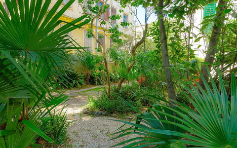 Silvia: Pflanze, Pflanzengemeinschaft, Botanik, Blatt, Baum, Terrestrische Plant, Arecales, Vegetation, Biome, Natürliche Landschaft