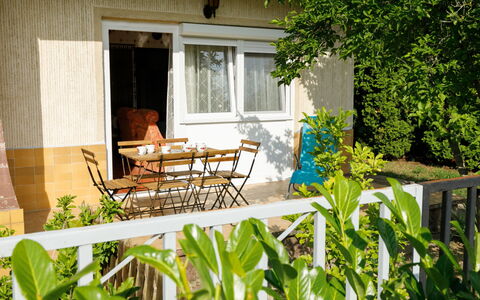 Palma: Pflanze, Tabelle, Möbel, Fenster, Gebäude, Stuhl, Schatten, Gartenmöbel, Tisch Im Freien, Holz