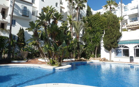 Benalmádena Costa 121: Schwimmbad, Eigentum, Resort, Gebäude, Grundeigentum, Wohnung, \Stadt, Urlaub, Haus, Palme