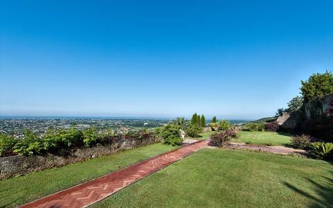 Villa Camaiore: Himmel, Eigentum, Gras, Grundeigentum, Daytime, Grundstueck, Baum, Garten, Botanik, Rasen