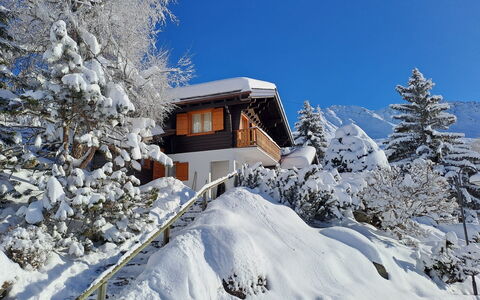 Biquinou: Himmel, Gebäude, Schnee, Pflanze, Fenster, Ast, Steigung, Haus, Baum, Lärche