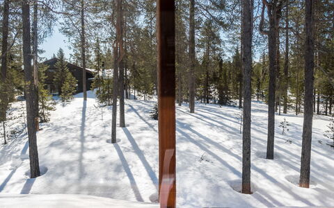 Katajarinne B: Schnee, Holz, Winter, Hütte, Haus, Dach, Zuhause, Einfrieren, Blockhaus, Zweig