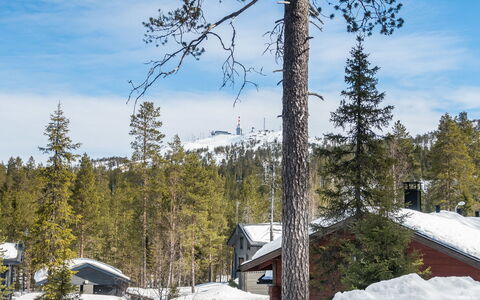 Katajarinne B: Schnee, Holz, Winter, Hütte, Haus, Dach, Zuhause, Einfrieren, Blockhaus, Zweig