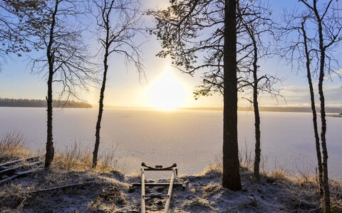 Saarenkainalo: Natur, Ast, Natürliche Landschaft, Sonne, Atmosphärisches Phänomen, Sonnenlicht, Zweig, Sonnenaufgang, Morgen, Winter