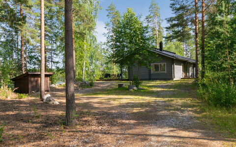 Hot Pool Cottage Iitu: Baum, Holz, Hütte, Wald, Pflanzengemeinschaft, Grundstueck, Wald, Kofferraum, Gartenbauten