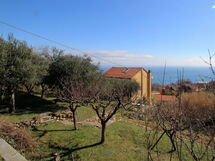 Mare