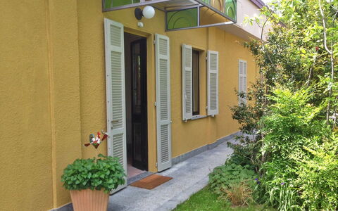 Invorio 100: Pflanze, Gebäude, Fenster, Blumentopf, Gras, Holz, Tür, Wohngebiet, Zimmerpflanze, Abstellgleis