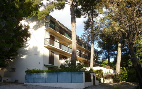 Le Clos Marin: Pflanze, Gebäude, Himmel, Baum, Urban Design, Gehölz, Schatten, Tönungen Und Schatten, Landschaft, Fassade