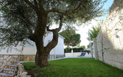 Gunella: Baum, Eigentum, Gras, Wand, Gehölz, Ast, Die Architektur, Pflanze, Graspflanze, Haus