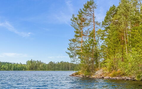 Villa Sipilä: Holz, Hütte, Blockhaus, Wald, Schuppen, Gartenbauten, Lärche, Wald, Holzbeize